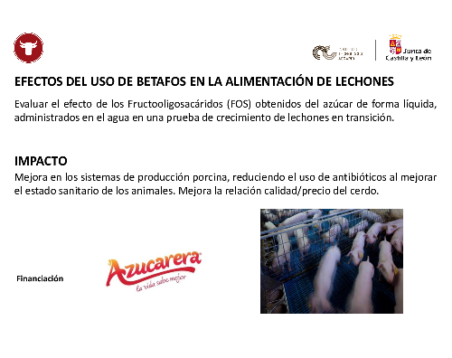 Efectos del uso de betafos en la alimentación de lechones